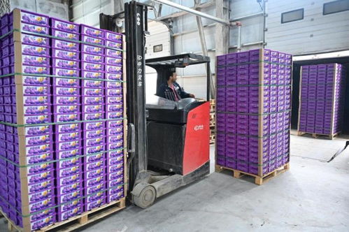 針對近期羽絨制品造假亂象,中羽協(xié)發(fā)聲并發(fā)布消費提示