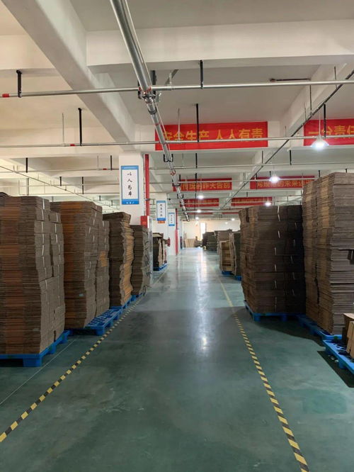 直播回顧 8年行業(yè)大咖暢聊 提升紙箱廠生產(chǎn)效率 的4大要點