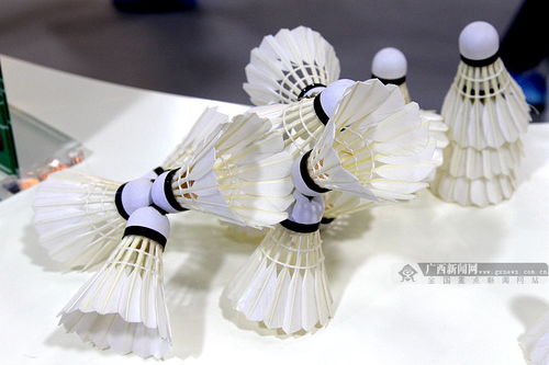 網(wǎng)眼看貴港 網(wǎng)媒記者聚焦貴港成就