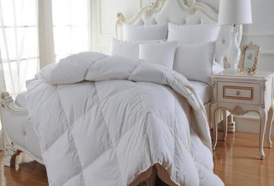 【北天鵝】 北天鵝誠邀加盟